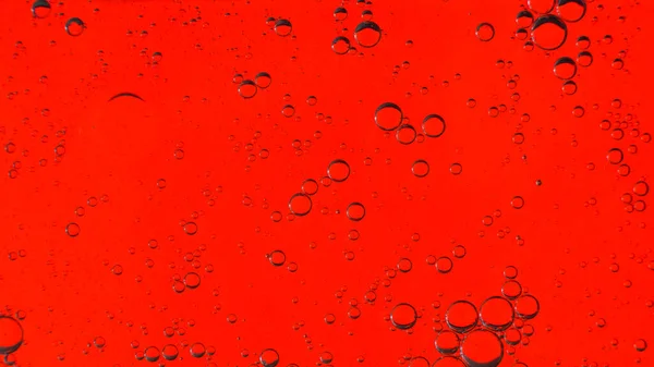Oil bubbles on the water surface in motion, on a red background, macro, splash screen, template, copy space