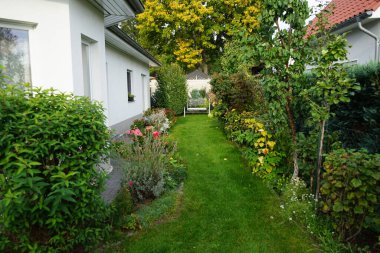 Ekim ayında sonbahar bahçesi. Berlin, Almanya
