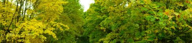 Fotoğraf panoraması. Berlin, Almanya 'da bir sonbahar manzarası. 