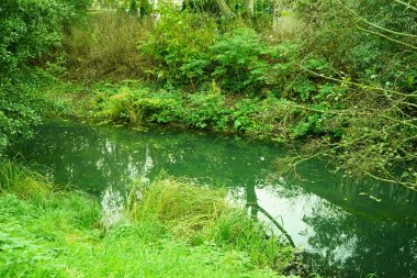 Berlin, Almanya 'da bir sonbahar manzarası. 