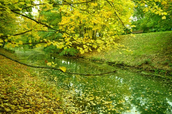 Осенний Пейзаж Живописной Зоне Отдыха Берлине Германия — стоковое фото