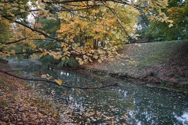 Paysage Automne Dans Une Zone Loisirs Pittoresque Berlin Allemagne — Photo