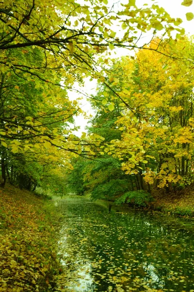Осенний Пейзаж Живописной Зоне Отдыха Берлине Германия — стоковое фото