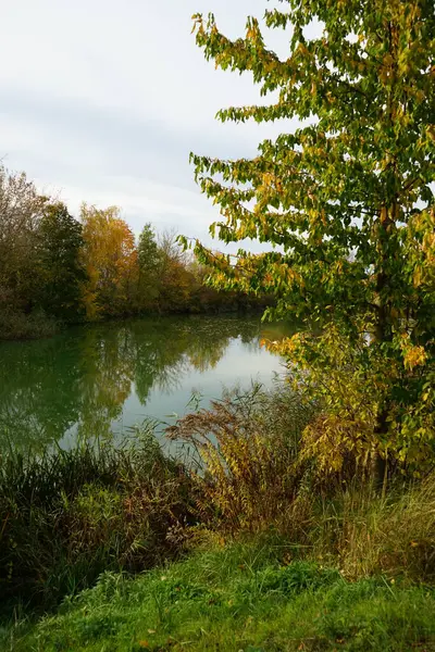 Beau Paysage Automne Dans Une Zone Loisirs Pittoresque Berlin Allemagne — Photo