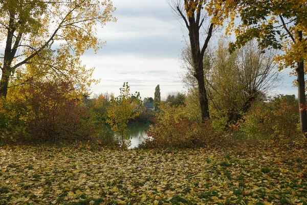 Prachtig Herfstlandschap Een Pittoresk Recreatiegebied Berlijn Duitsland — Stockfoto