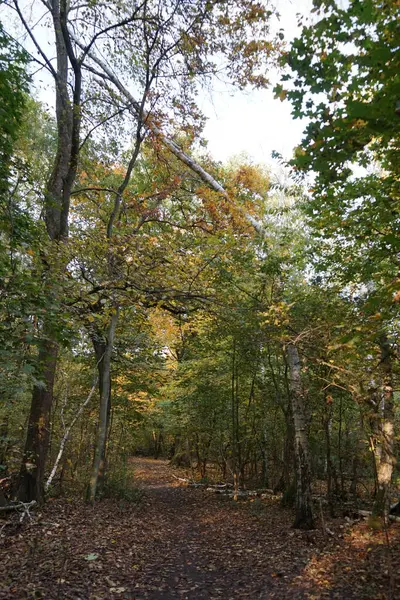 Beautiful Autumn Landscape Picturesque Recreation Area Berlin Germany — Stock Photo, Image