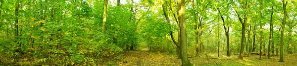 Фотопанорама Осенний Пейзаж Живописной Зоне Отдыха Берлине Германия — стоковое фото