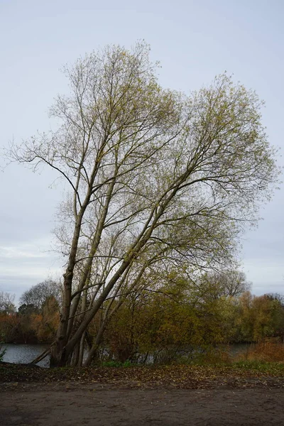 Prachtig Herfstlandschap Met Uitzicht Wuhlesee Berlijn Duitsland — Stockfoto