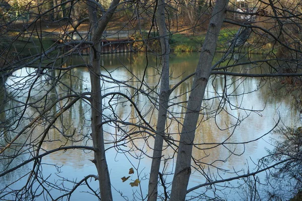 Hermoso Paisaje Otoñal Una Pintoresca Zona Recreo Berlín Alemania — Foto de Stock