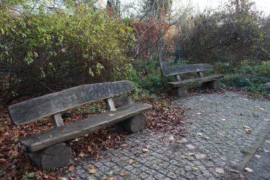 Berlin, Almanya 'da güzel bir dinlenme alanında iki bank..