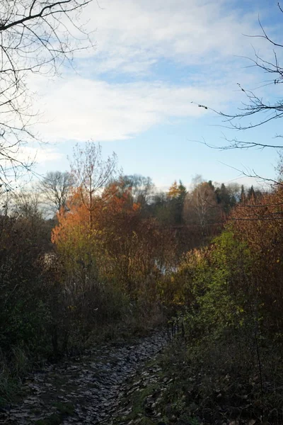 Beau Paysage Automne Dans Une Zone Loisirs Pittoresque Berlin Allemagne — Photo