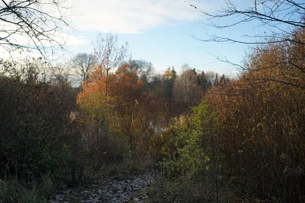 Hermoso Paisaje Otoñal Una Pintoresca Zona Recreo Berlín Alemania — Foto de Stock