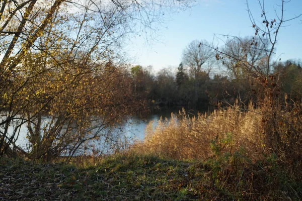 Piękny Jesienny Krajobraz Malowniczej Okolicy Rekreacyjnej Berlinie Niemcy — Zdjęcie stockowe