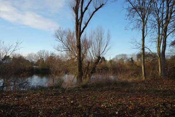 Beau Paysage Automne Dans Une Zone Loisirs Pittoresque Berlin Allemagne — Photo