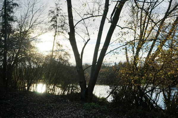 Hermoso Paisaje Otoñal Una Pintoresca Zona Recreo Berlín Alemania —  Fotos de Stock