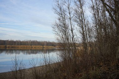 Aralık ayında Habermannsee 'deki Kaulsdorfer Baggersee Gölü civarındaki muhteşem bitki örtüsüyle güzel bir manzara. Marzahn-Hellersdorf, Berlin, Almanya    