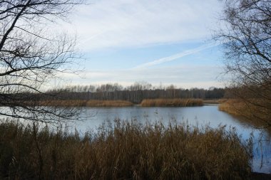 Aralık ayında Habermannsee 'deki Kaulsdorfer Baggersee Gölü civarındaki muhteşem bitki örtüsüyle güzel bir manzara. Marzahn-Hellersdorf, Berlin, Almanya   
