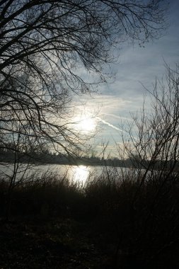 Kışın alçak güneş. Aralık ayında Habermannsee 'deki Kaulsdorfer Baggersee Gölü civarındaki muhteşem bitki örtüsüyle güzel bir manzara. Marzahn-Hellersdorf, Berlin, Almanya  