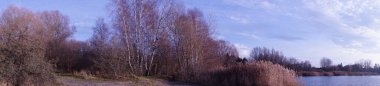 Fotoğraf panoraması. Aralık ayında Habermannsee 'deki Kaulsdorfer Baggersee Gölü civarındaki muhteşem bitki örtüsüyle güzel bir manzara. Marzahn-Hellersdorf, Berlin, Almanya 