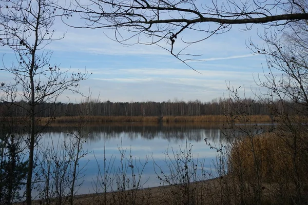 Krásná Krajina Úžasnou Vegetací Blízkosti Jezera Kaulsdorfer Baggersee Habermannsee Prosinci — Stock fotografie