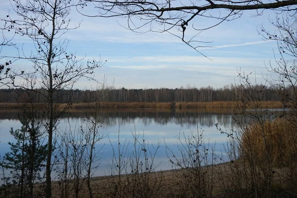 Krásná Krajina Úžasnou Vegetací Blízkosti Jezera Kaulsdorfer Baggersee Habermannsee Prosinci — Stock fotografie