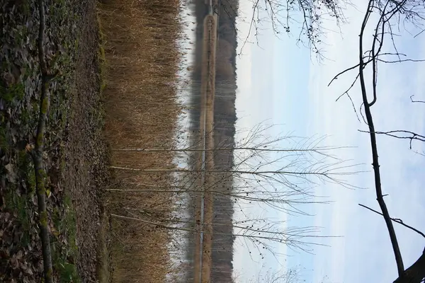 Schöne Landschaft Mit Herrlicher Vegetation Der Nähe Des Kaulsdorfer Baggersees — Stockfoto