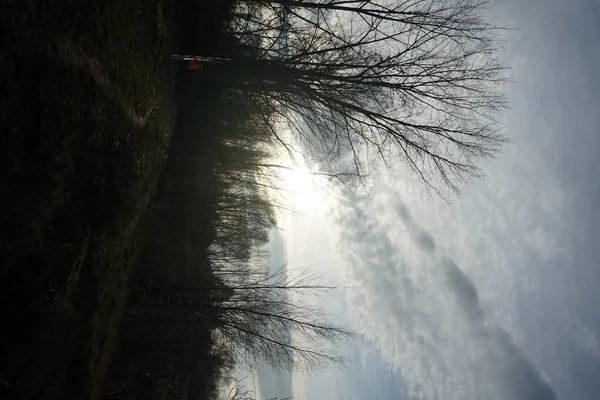 Low Sun Winter Beautiful Landscape Amazing Vegetation Vicinity Lake Kaulsdorfer — Stock Photo, Image