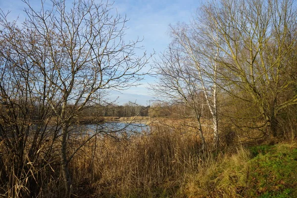 Piękny Krajobraz Niesamowitą Roślinnością Pobliżu Jeziora Kaulsdorfer Baggersee Habermannsee Grudniu — Zdjęcie stockowe