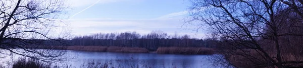 Panorama Fotográfico Bela Paisagem Com Vegetação Incrível Nas Proximidades Lago — Fotografia de Stock