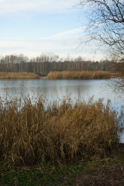 12月 哈贝曼斯湖附近美丽的风景和迷人的植被 哈贝曼斯湖 德国柏林Marzahn Hellersdorf — 图库照片