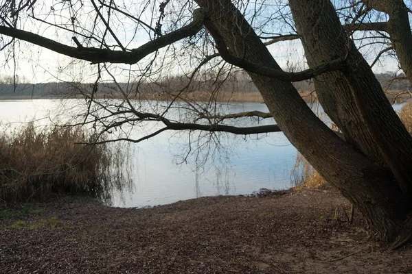 Bela Paisagem Com Vegetação Incrível Nas Proximidades Lago Kaulsdorfer Baggersee — Fotografia de Stock