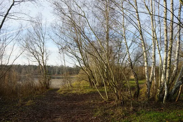 Schöne Landschaft Mit Herrlicher Vegetation Der Nähe Des Kaulsdorfer Baggersees — Stockfoto