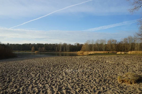 Krásná Krajina Úžasnou Vegetací Blízkosti Jezera Kaulsdorfer Baggersee Habermannsee Prosinci — Stock fotografie