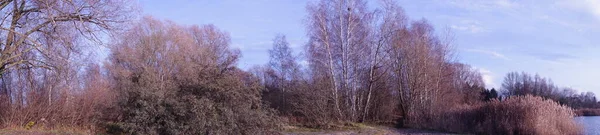 Fotoğraf Panoraması Aralık Ayında Habermannsee Deki Kaulsdorfer Baggersee Gölü Civarındaki — Stok fotoğraf