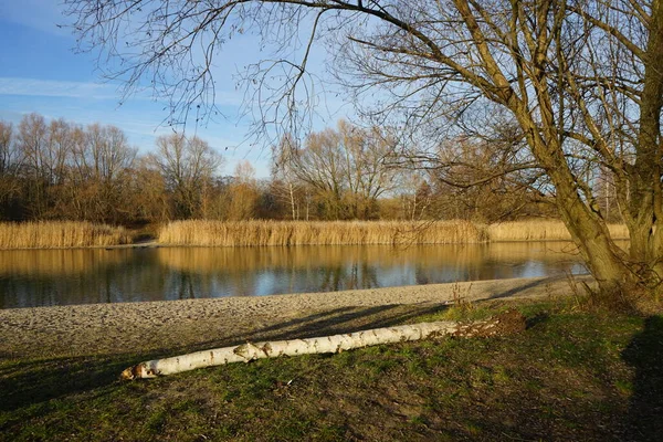 Bellissimo Paesaggio Con Una Vegetazione Incredibile Nelle Vicinanze Del Lago — Foto Stock