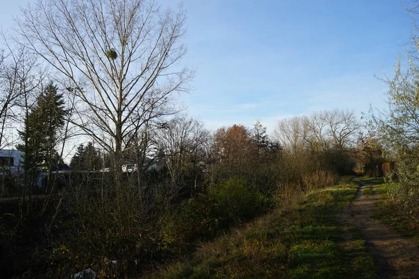 Beautiful Landscape Vicinity Wuhle River December Marzahn Hellersdorf Berlin Germany — Stock Photo, Image