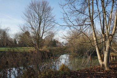 Aralık ayında Wuhlesee Gölü civarındaki güzel bir manzara. Marzahn-Hellersdorf, Berlin, Almanya 