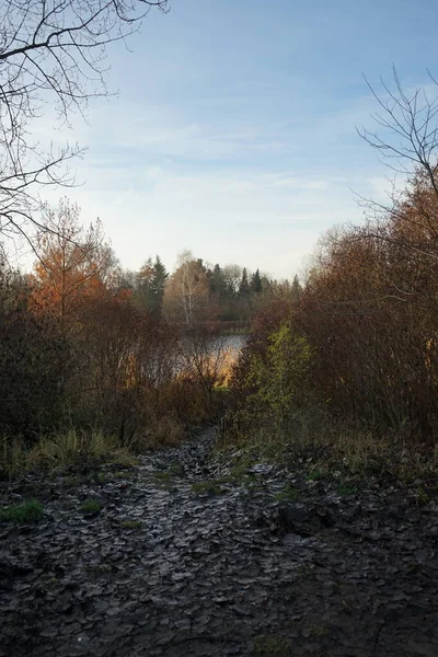 Beau Paysage Proximité Lac Wuhlesee Décembre Marzahn Hellersdorf Berlin Allemagne — Photo