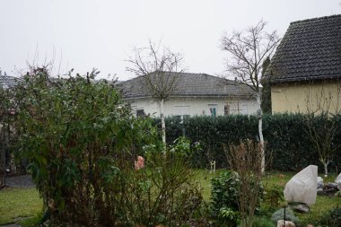 Aralıkta bahçeye düşen ilk kar. Berlin, Almanya 