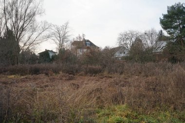 Aralık ayında Wuhle nehrinin çevresinde güzel bir manzara. Marzahn-Hellersdorf, Berlin, Almanya 