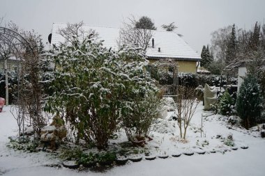 Kış bahçesine düşen kar taneleri. Berlin, Almanya