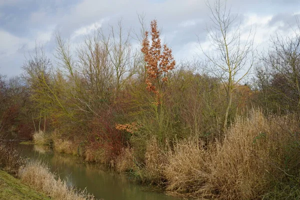 12月 五合江畔美丽的风景 德国柏林Marzahn Hellersdorf — 图库照片