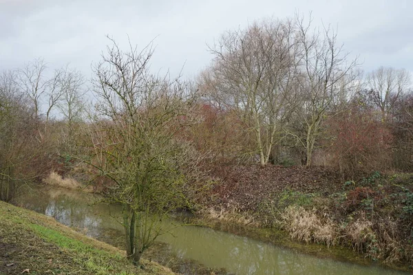 Prachtig Landschap Omgeving Van Rivier Wuhle December Marzahn Hellersdorf Berlijn — Stockfoto