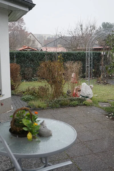 Aralıkta Bahçeye Düşen Ilk Kar Berlin Almanya — Stok fotoğraf