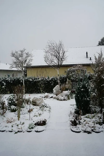 Tomber Flocons Neige Dans Jardin Hiver Berlin Allemagne — Photo