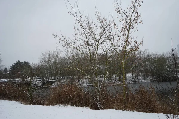 Nieve Las Cercanías Del Lago Wuhlesee Enero Hermoso Paisaje Invierno — Foto de Stock
