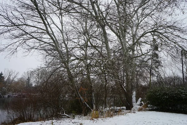 Schnee Der Nähe Des Wuhlesees Januar Schöne Winterlandschaft Marzahn Hellersdorf — Stockfoto