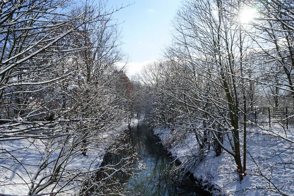 Inverno Paisagem Nevada Com Vegetação Maravilhosa Janeiro Berlim Alemanha — Fotografia de Stock