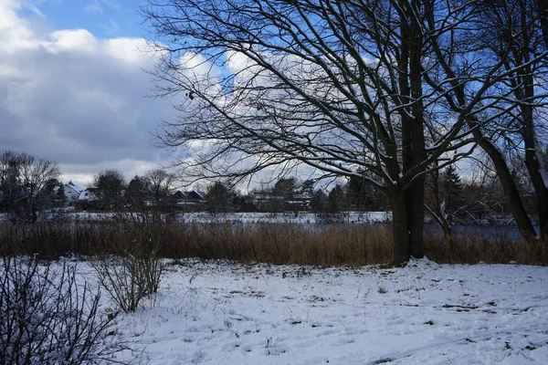 Paysage Enneigé Hiver Avec Une Végétation Merveilleuse Janvier Berlin Allemagne — Photo