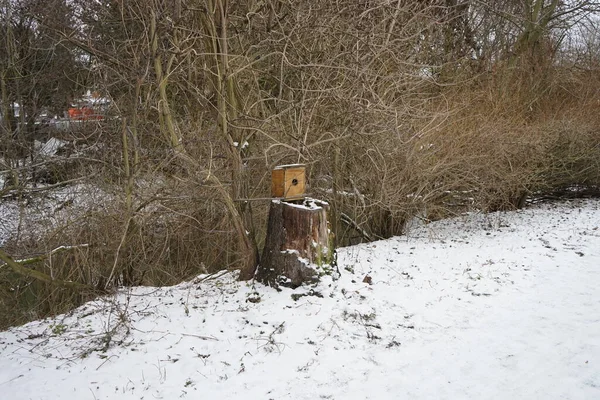 多雪的冬天 在五合江边的一棵树上的鸟屋 德国柏林Marzahn Hellersdorf — 图库照片